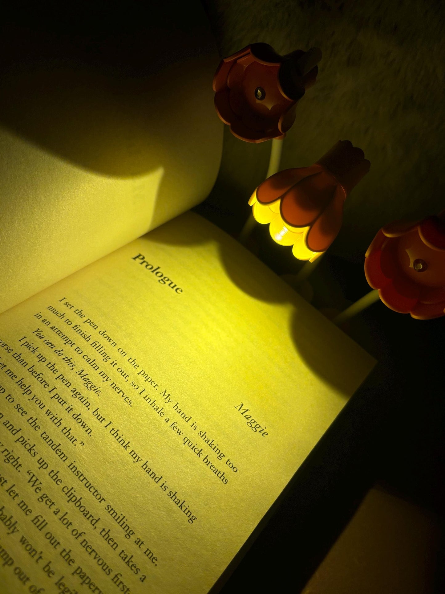 Flower Book Lights